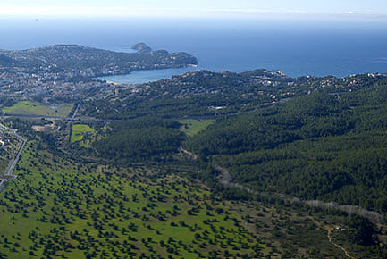 Entorno
